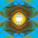 Special Pillow - Mind Wipe CD (Zofko Records)