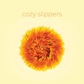 Cozy Slippers - Cozy Slippers CD / LP (Kleine Underground Schallplatten / Subjangle)