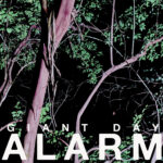 Giant Day - Alarm CD / LP (Elephant 6 Records)